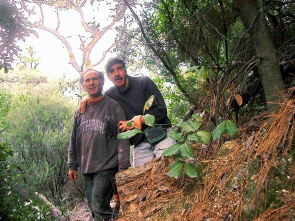 Giorgos and Angelos while working to open the Trail of the Elves, Ikaria
