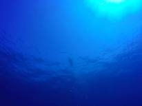 underwater 6